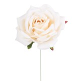 PICK ROSA ELEONORE CREMA D15 H